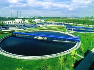 2024第十九届中国林产品交易会